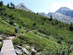Dalla Bortelhütte scendiamo a Berisal con un sentiero alternativo (sul versante opposto a quello di salita......)